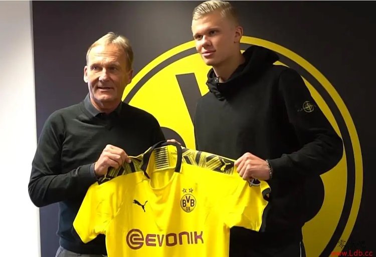 沪媒：申花3名外援合同到期，下周亚冠成终极大考定去留（沪媒称申花三外援合约将满，下周亚冠或成去留关键战）